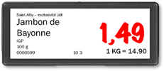 ESL e-Ink promo tag label (5.9in / 15cm)